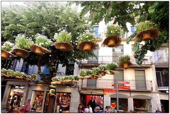 la Rambla de la Llibertat girona